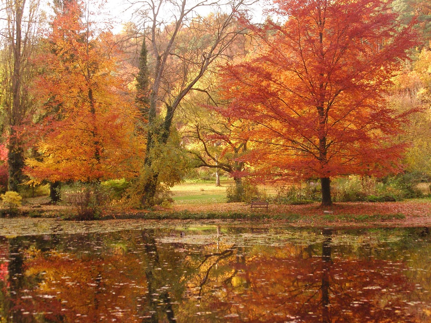 L’étang en automne