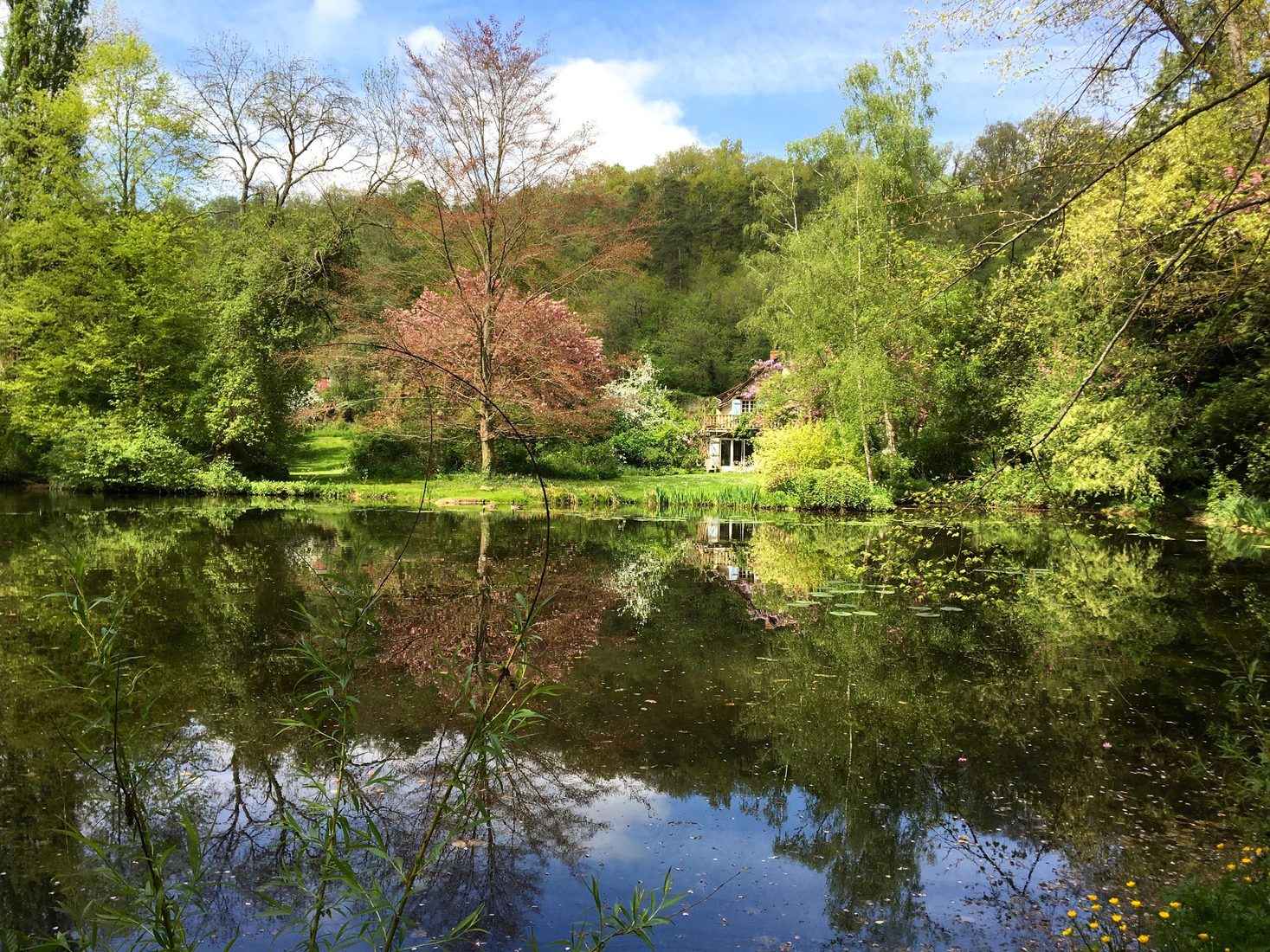 L’étang au printemps