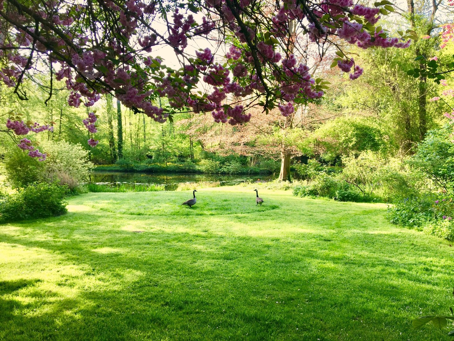 Le parc et ses visiteurs