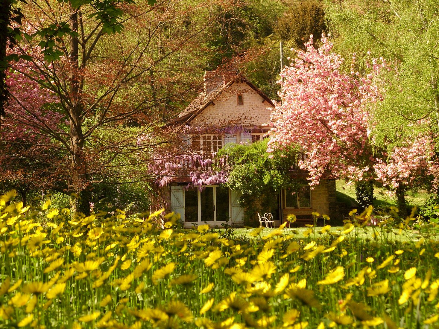 La maison au printemps